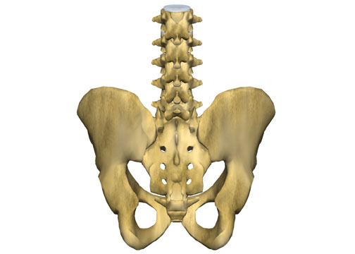 retrolisthesis more condition_symptoms retrolisthesis more condition_symptoms